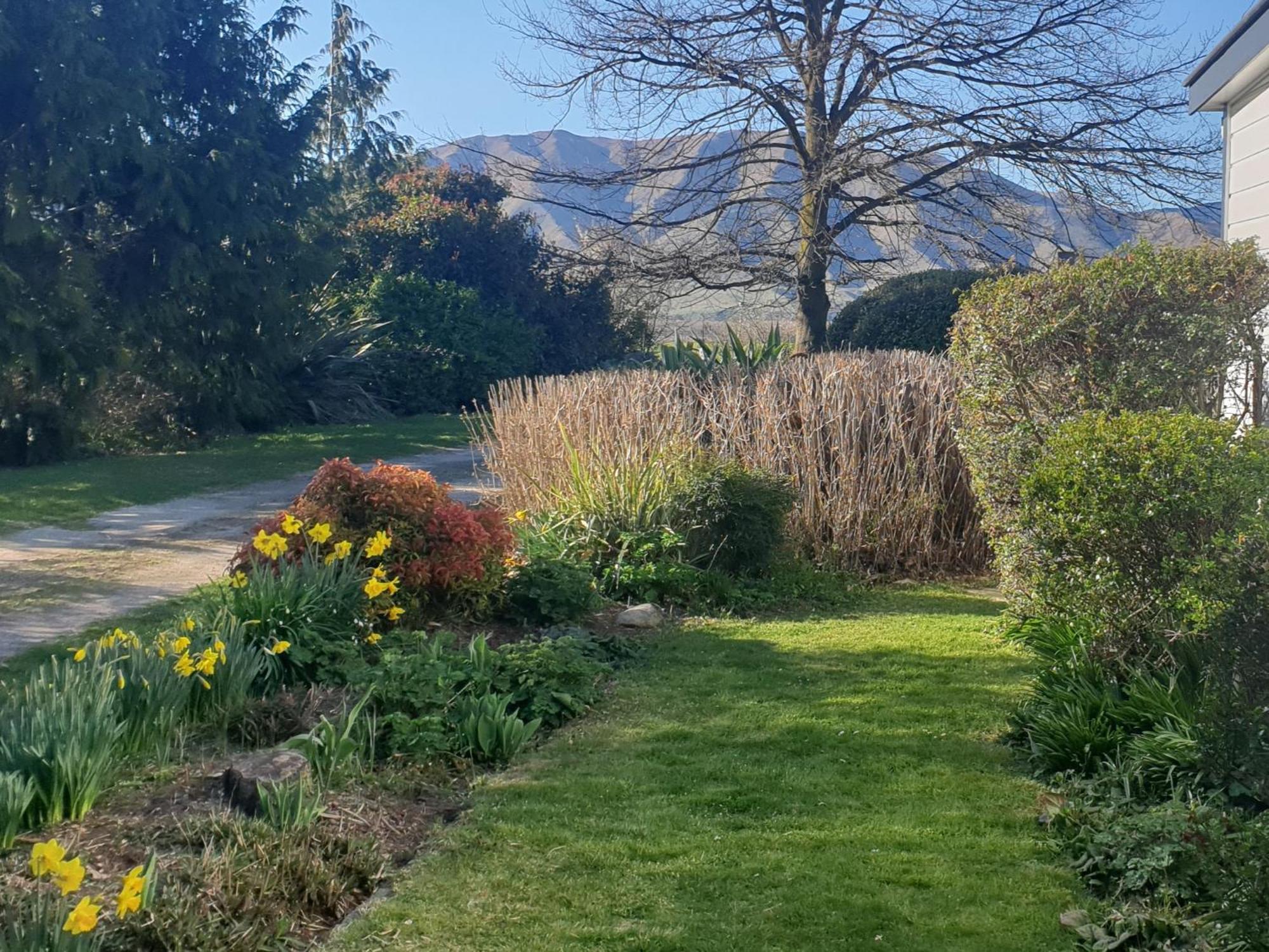 Windhaven Bed & Breakfast Duntroon Buitenkant foto