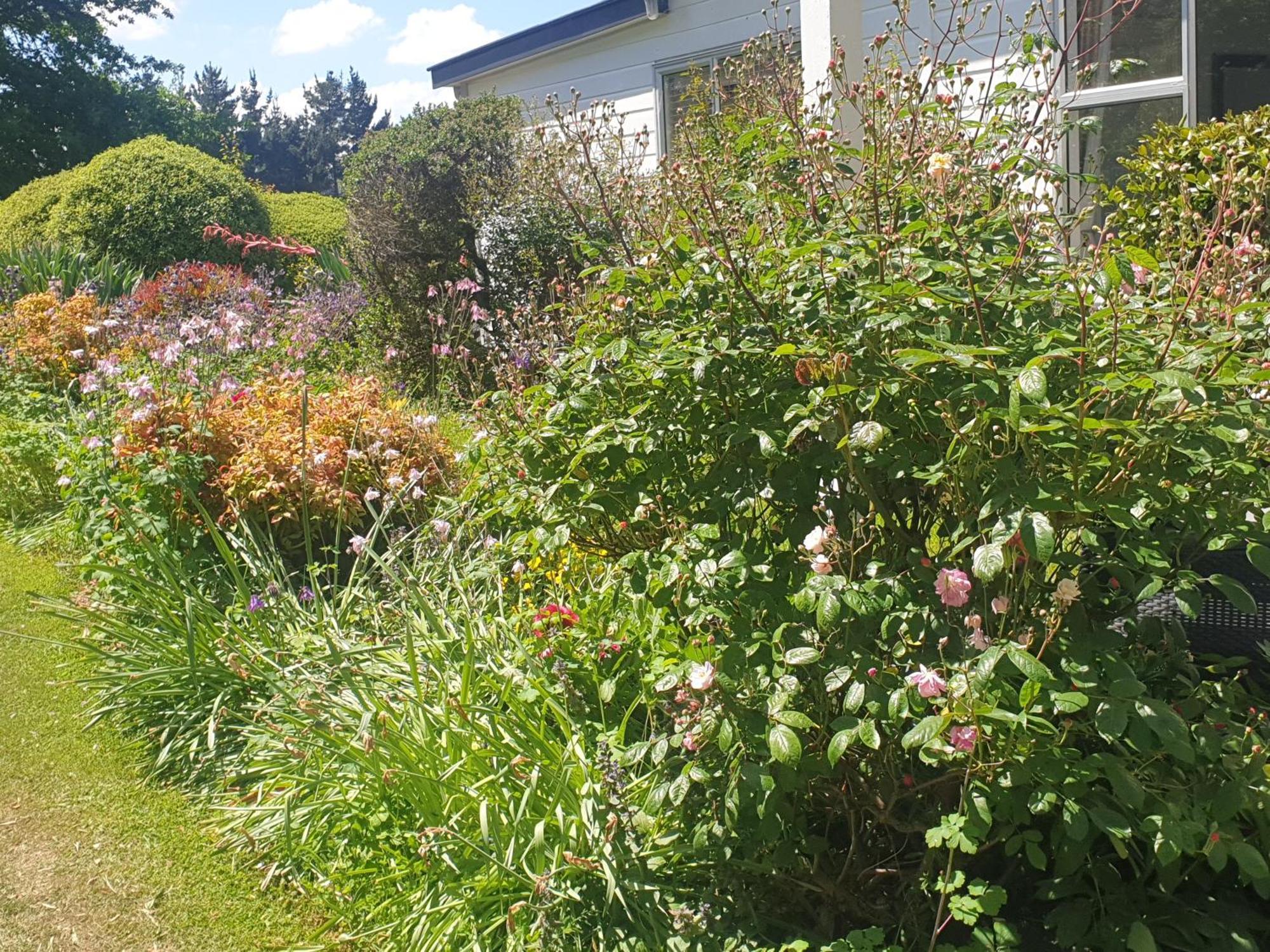 Windhaven Bed & Breakfast Duntroon Buitenkant foto